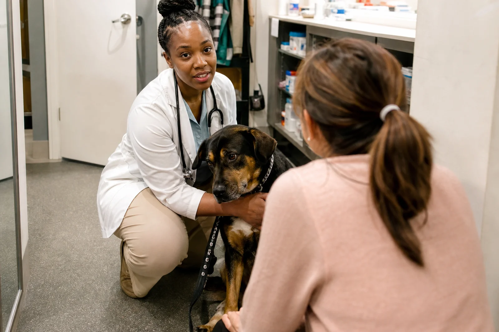 A veterinarian in a white coat crouching beside a black and tan dog, one hand on its shoulder, talking with the owner seated in front of her.